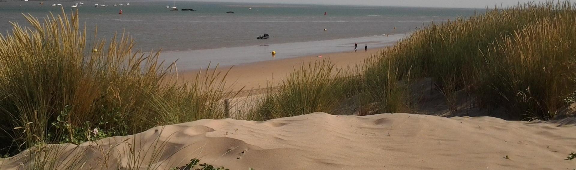 Plage à Fromentine